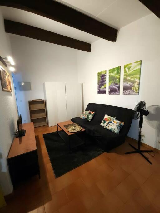 A 8 Mn A Pied Des Plages Appartement Avec Piscine Et Tennis 아르젤레쉬르메르 외부 사진