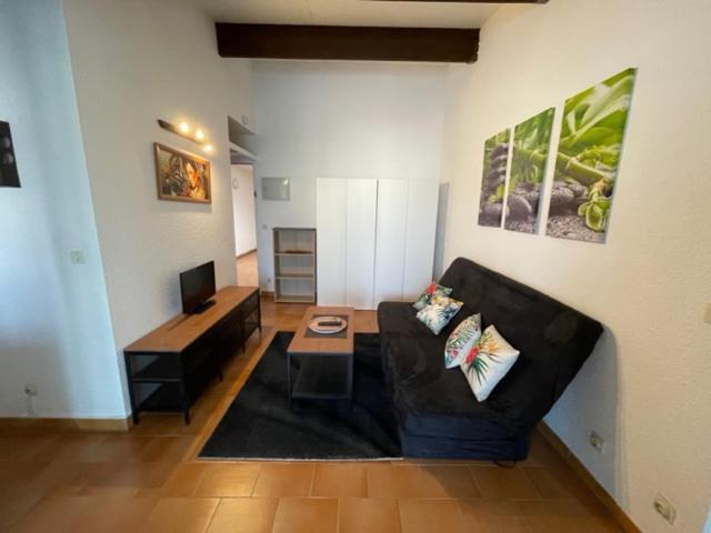 A 8 Mn A Pied Des Plages Appartement Avec Piscine Et Tennis 아르젤레쉬르메르 외부 사진